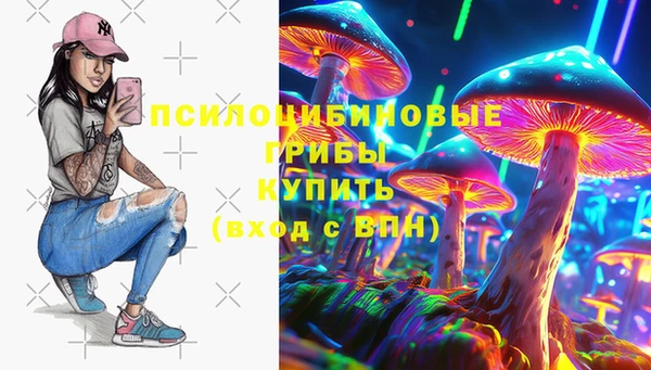 спайс Богородск