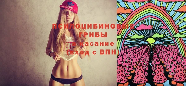 метамфетамин Богданович