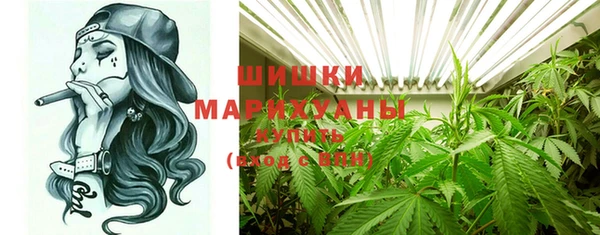 спайс Богородск