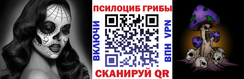 Купить закладки  Дно  Галлюциногенные грибы мицелий 